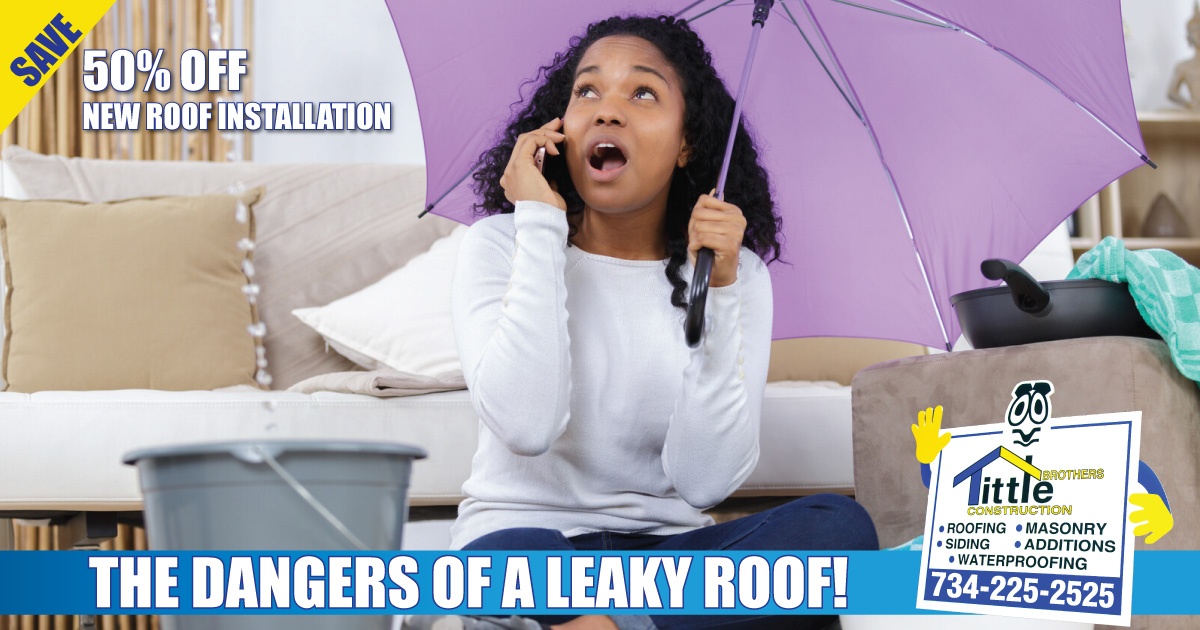 Roofing Basics Part 1: The Dangers Of a Leaky Roof