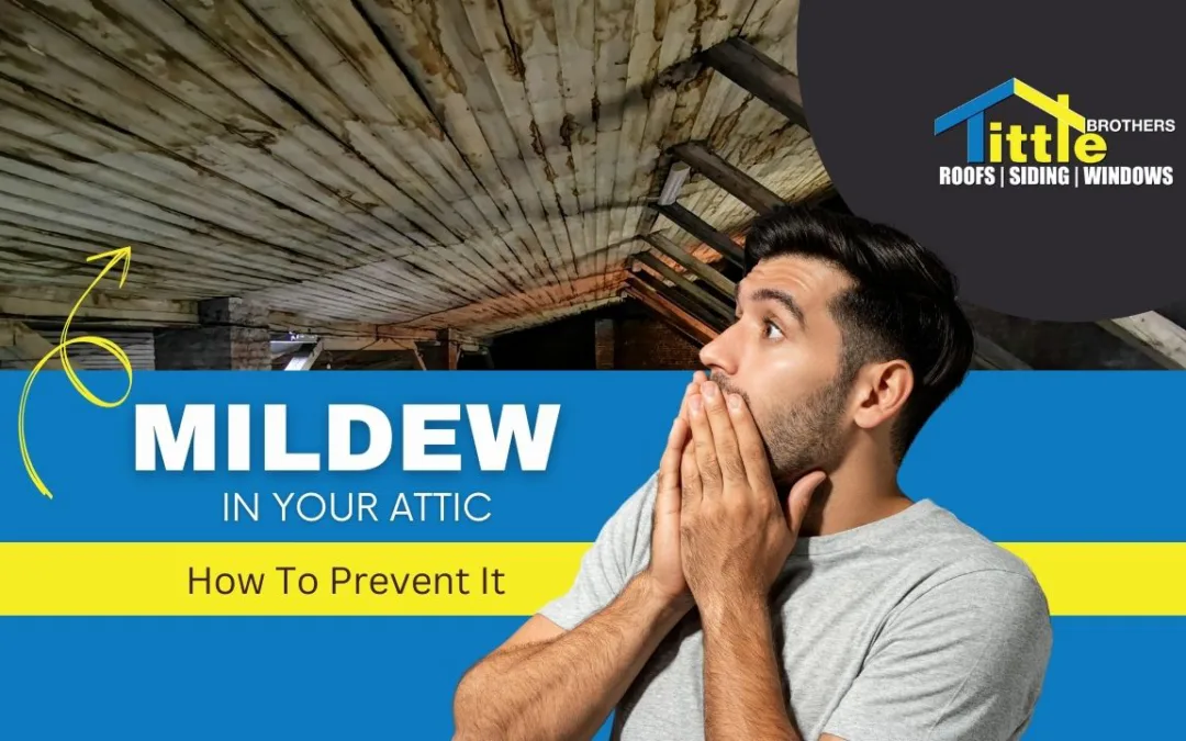 mildew in attic